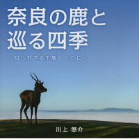 奈良の鹿と巡る四季 知られざる生態とともに  /京阪奈情報教育出版/川上悠介